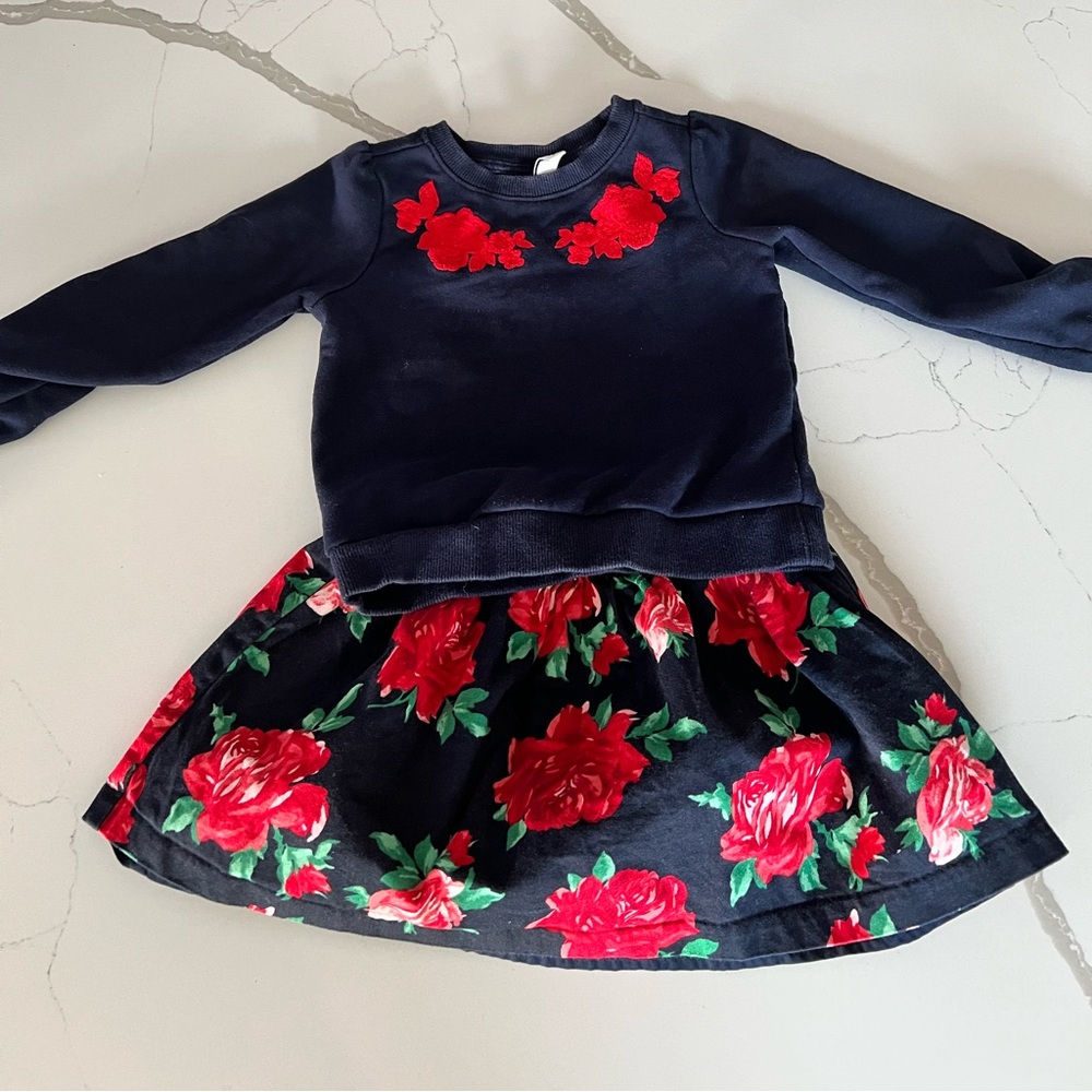 Size 3T 2 Piece Skirt and Sweatshirt Janie and Jack